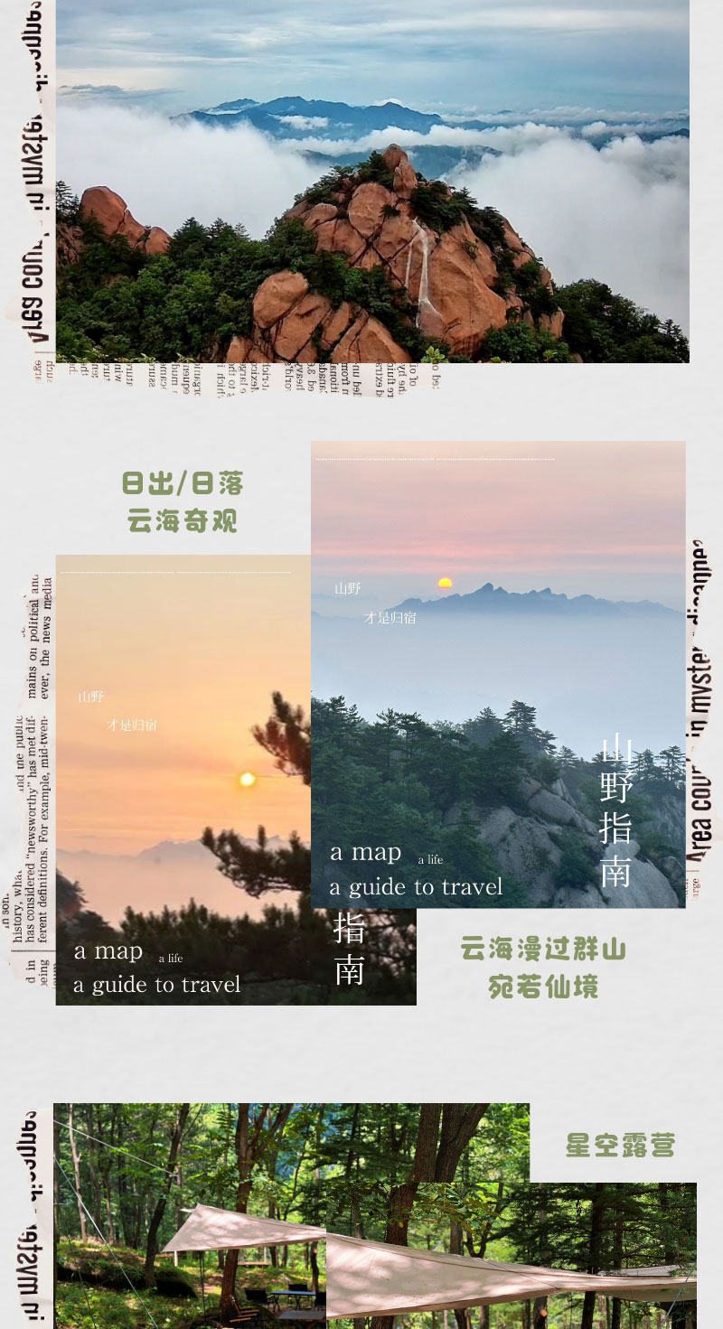 合成風綠色研學活動宣傳長圖海報__2025-07-24+13_34_04_02.jpg